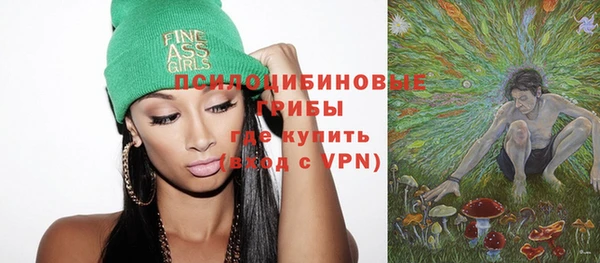 не бодяженный Горно-Алтайск